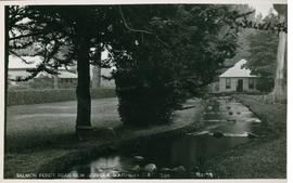 Postcard of the Salmon Ponds