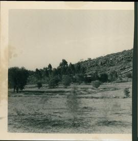 Arid Regions Native  Flora Reserve - photograph