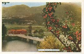 River Huon at Huonville