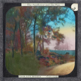 Lantern Slide No. 3