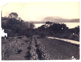 View from Government House