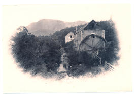 Mill on New Town Creek