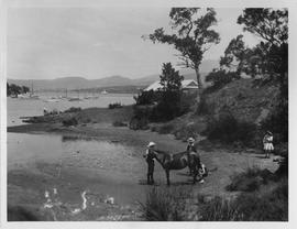 Children and pony on the beach