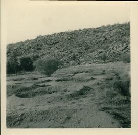 Arid Regions Native  Flora Reserve - photograph