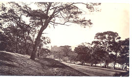 Government House from the Queen's Domain