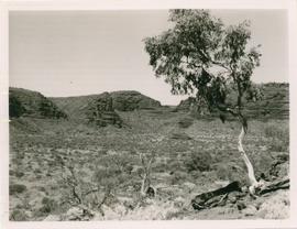 Central Australia view