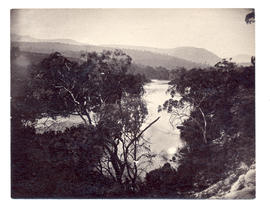 Derwent River above New Norfolk