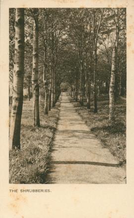 Photograph of the shrubberies at Ackworth School