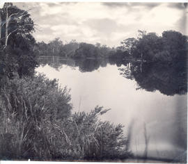 Derwent River above New Norfolk