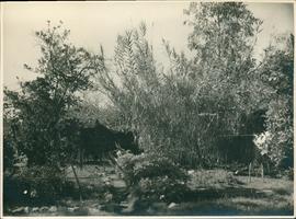 Photograph of Home Hut