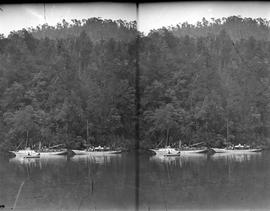 View of boats on the Franklin River, Macquarie Harbour, Tasmania