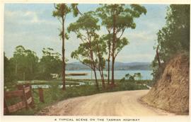 A typical scene on the Tasman Highway