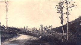 Huts on  Huon Road